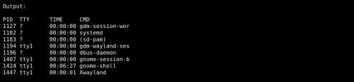 15 Basic 'ps' Command To Monitor Linux Process With Examples | LinuxTeck