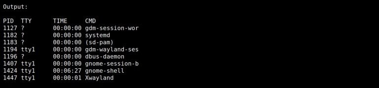 15 basic 'ps' command to monitor Linux process with Examples | LinuxTeck