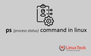 ps command in linux with options
