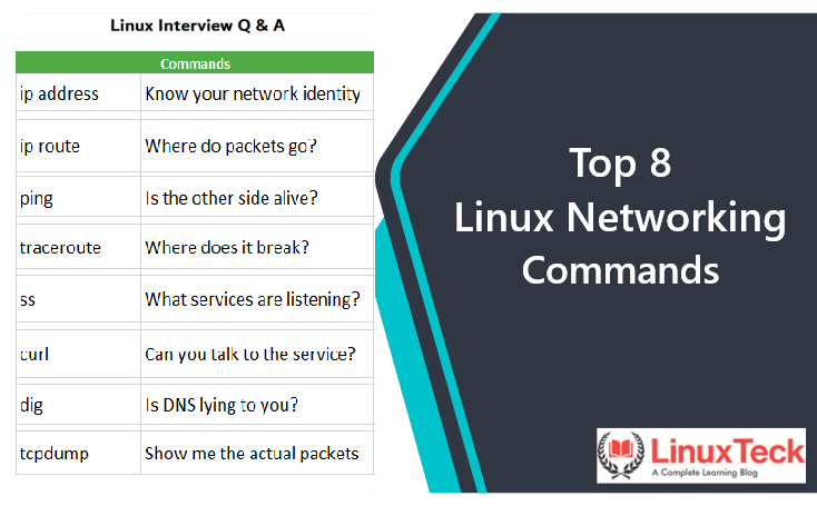 Basic Linux Commands: 20 Essential Commands Every Beginner Should Know