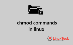 chmod command in linux