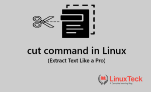cut command in linux example