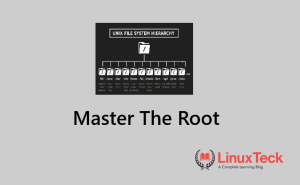 unix file system directory tree