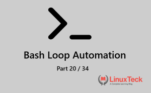bash loops example in Linux terminal