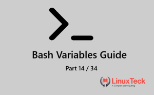 bash variables types explained with examples