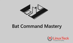 bat command in Linux terminal with syntax highlighting