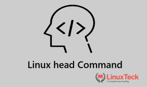 head command in Linux terminal example