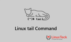 tail command in Linux