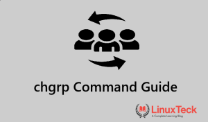 chgrp command in linux example output