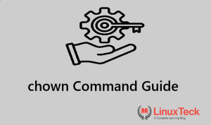 chown command in linux example