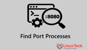 process uses a port